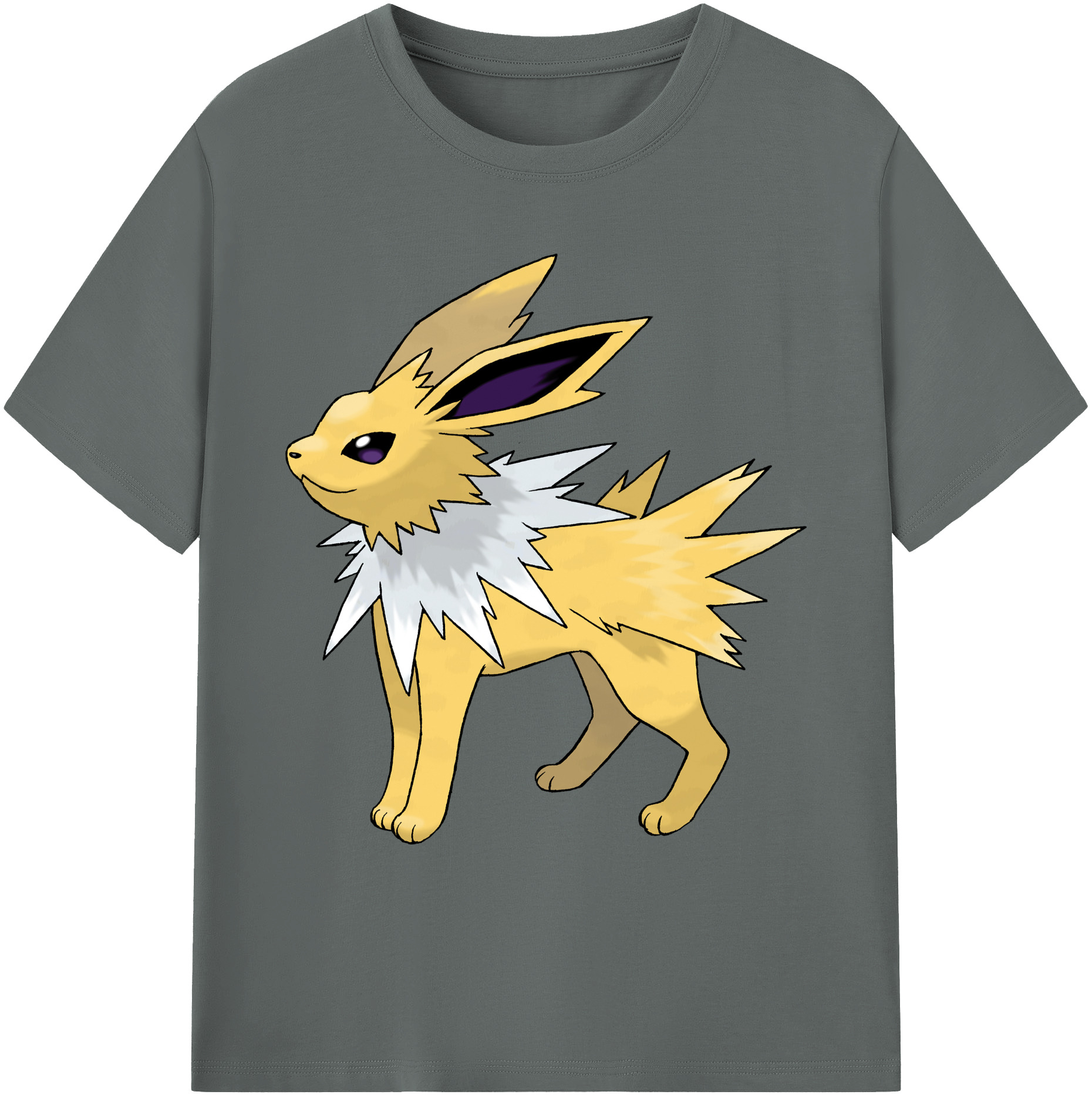 （画像用） ポケットモンスター Pokémon 綿100％ メンズ半袖Tシャツ｜肌触りやわらか＆通気性